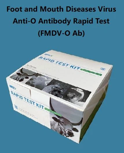 FMDV-O Antibody Rapid Test