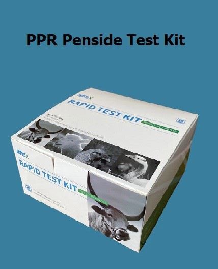 PPR Penside Test Kit